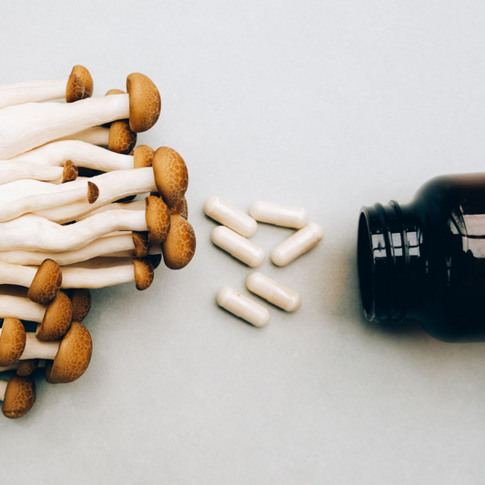 Natural Power Duo: Why Mushroom Extract & Turmeric Gummies Belong in Your Routine